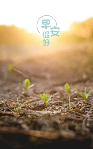 最新的早上好图片