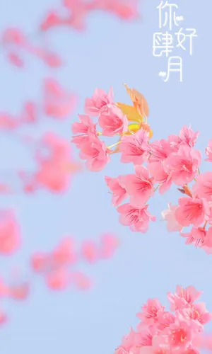四月第一天你好