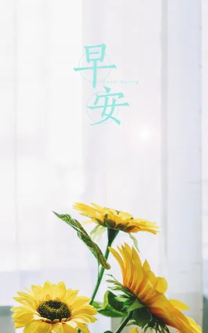 早安养眼的向日葵