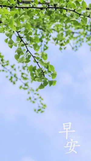 早安你好清新养眼风光