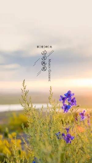 享受时光,再见三月