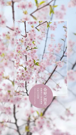遇见最美的人间四月天