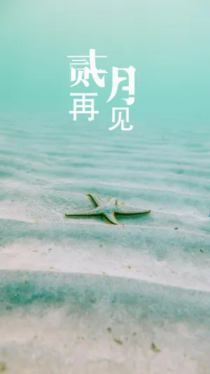 时光流逝,二月再见