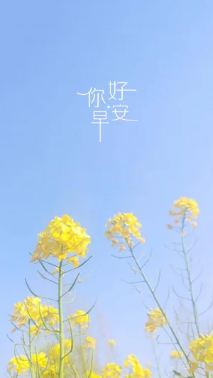 你好早安养眼迷人的油菜花