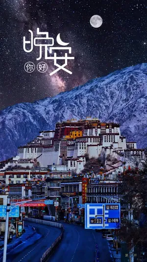 晚安迷人的布达拉宫夜景_1