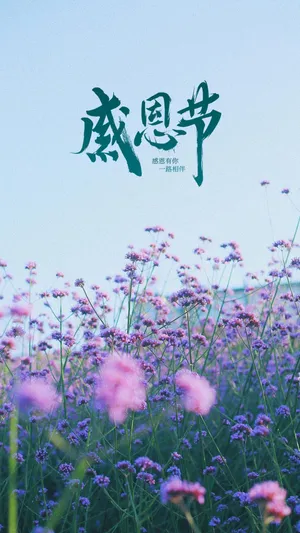 感恩节唯美花朵风景