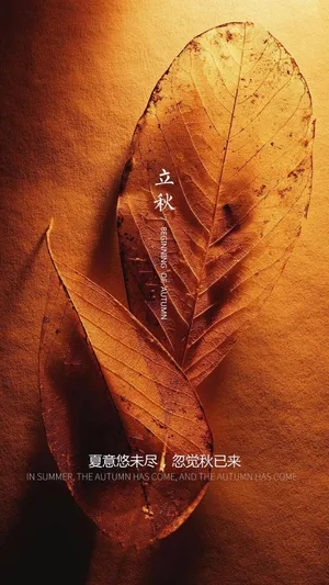 立秋落叶唯美带字图片