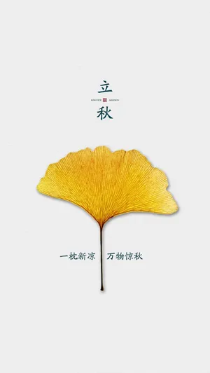 立秋时节的一片杏叶_1