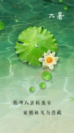 关于二十四节气大暑的诗句图片