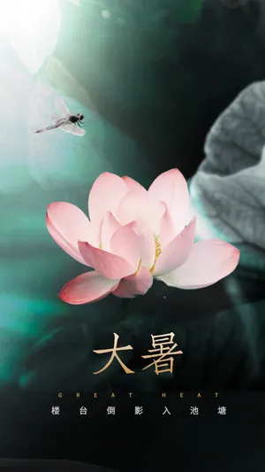 与24节气大暑有关的诗词配图