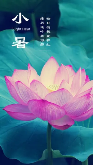 小暑节气唯美诗词配图