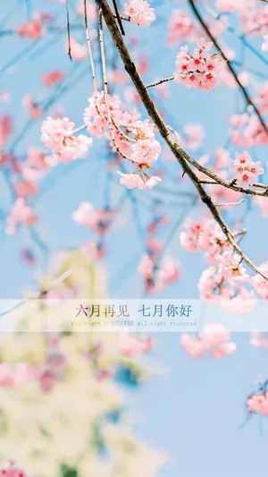 六月再见七月你好唯美背景图