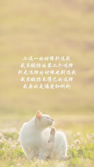 我要的是偏爱和例外图片_1