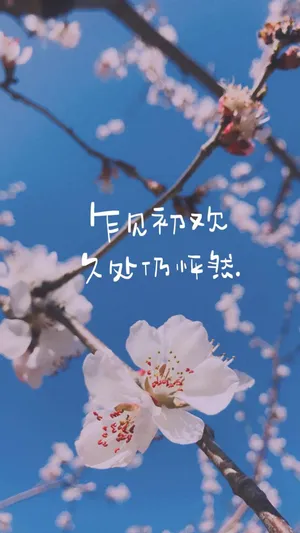 简约唯美的心灵鸡汤文案