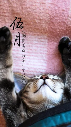 迎接5月到来_1