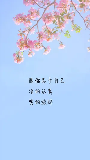 活的认真,笑的放肆