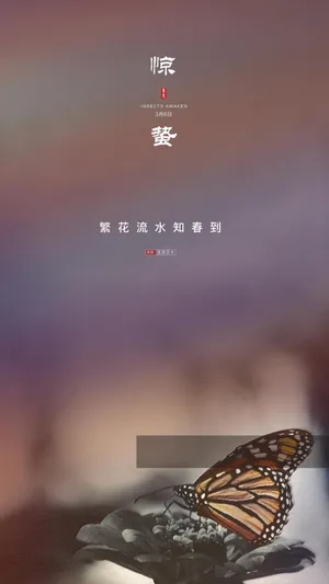 最美24节气惊蛰_1