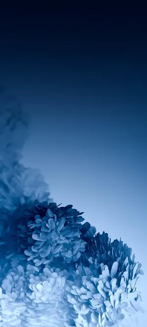 三星Galaxy S20桌面壁纸