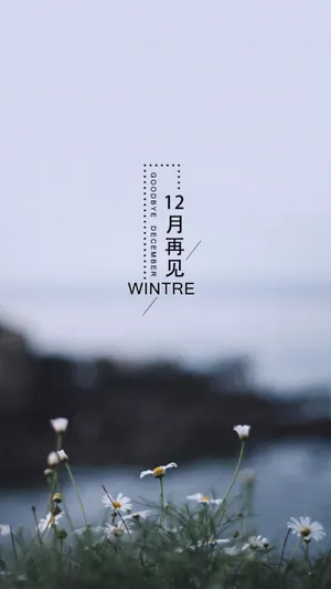 最美的十二月再见