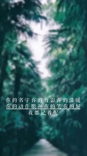 有关于你的一切