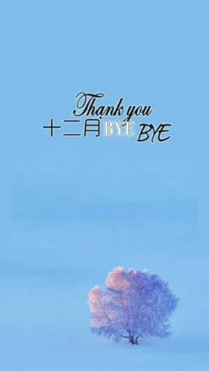 十二月即将过去