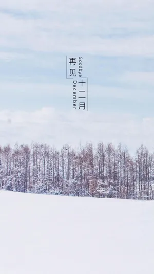 告别十二月,迎接一月