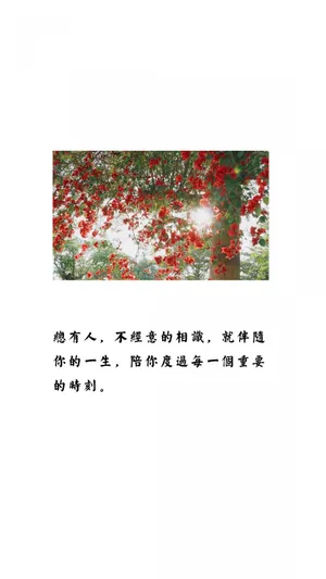 陪伴是最长情的告白