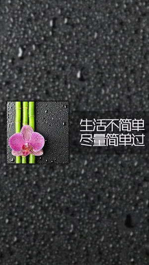 生活不简单,尽量简单过