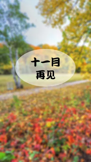 告别,十一月_1