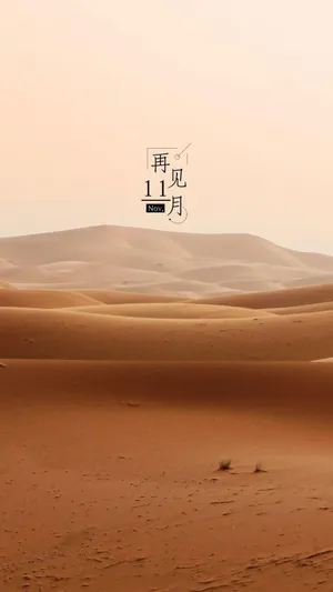再见了,十一月_1
