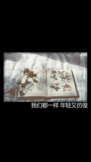 励志文字说说