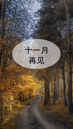 十一月再见啦