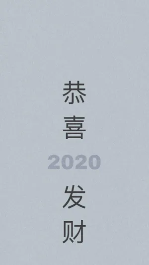 迎接2020年的到来