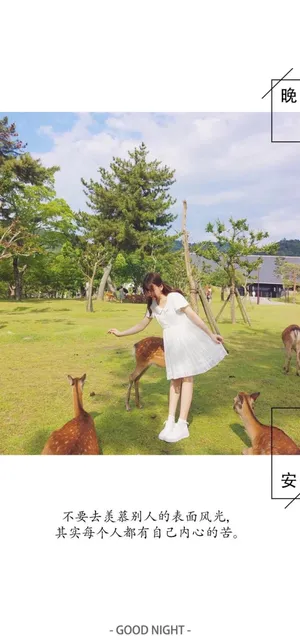 对那个女孩说晚安
