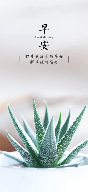 早安,芦荟