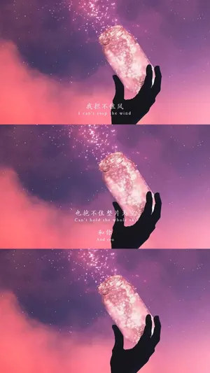 梦幻许愿瓶伤感语录_1