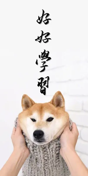 好好学习,狗子