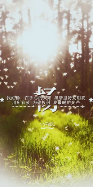 我姓杨,手心握着太阳