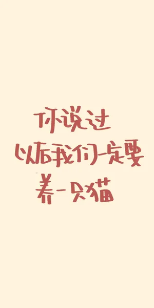 你说过以后我们要养只猫