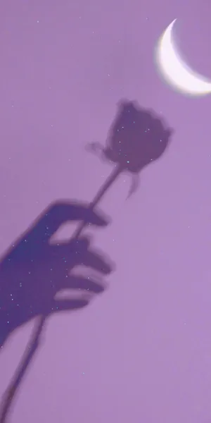 便把玫瑰赠残月