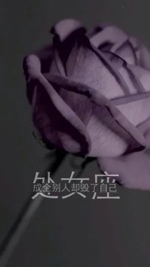 处女座:成全别人却毁了自己_1