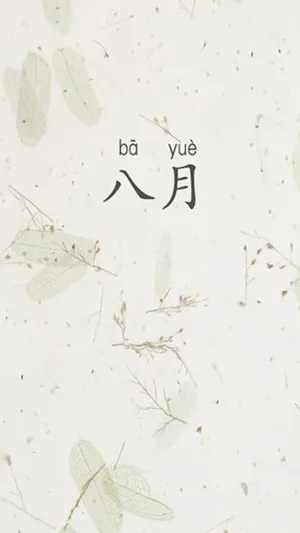 八月的淡雅