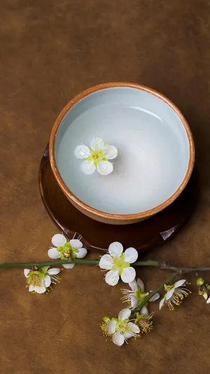 花水恋
