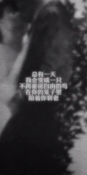 总有一天,我会变成一只笼中鸟