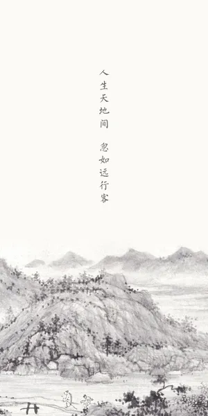 人生天地间,忽如远行客