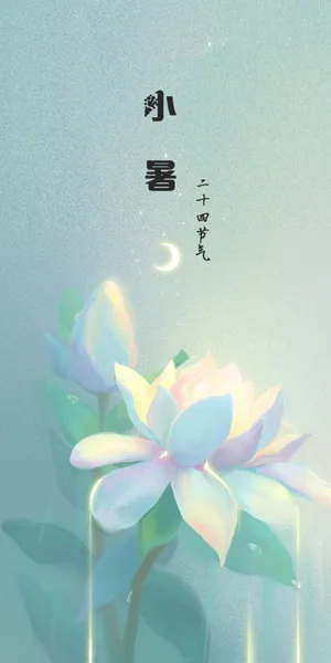 小暑之月下白莲插画