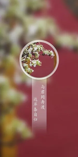 与君同船渡,达岸各自归