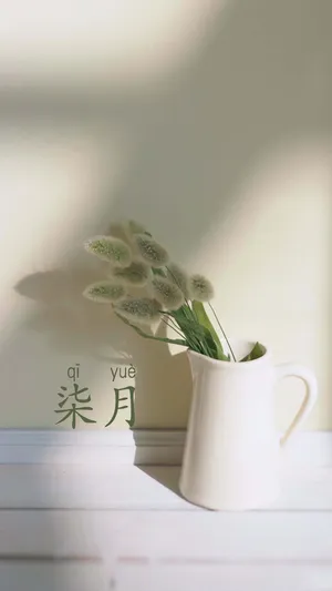 与六月挥一挥手告别