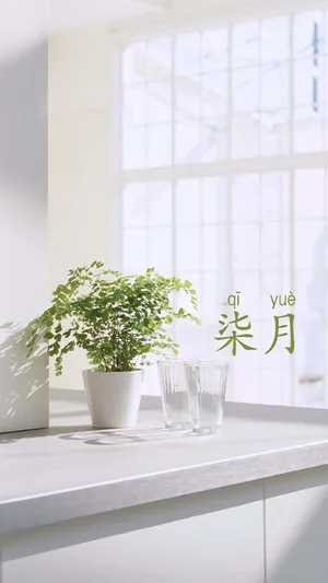所有的美好都在七月