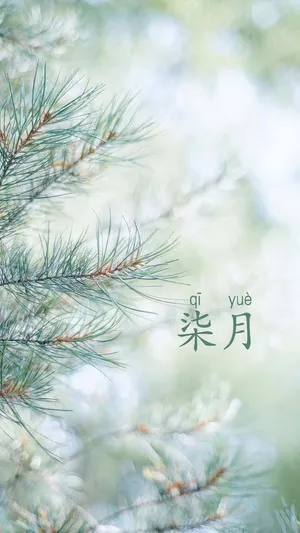 新的七月